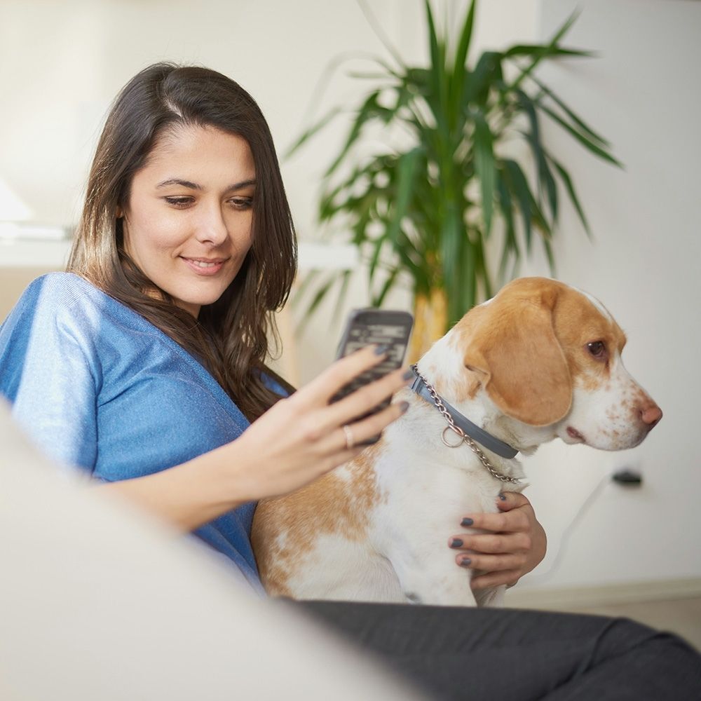 lady using cell phone apps while spending time with pet dog